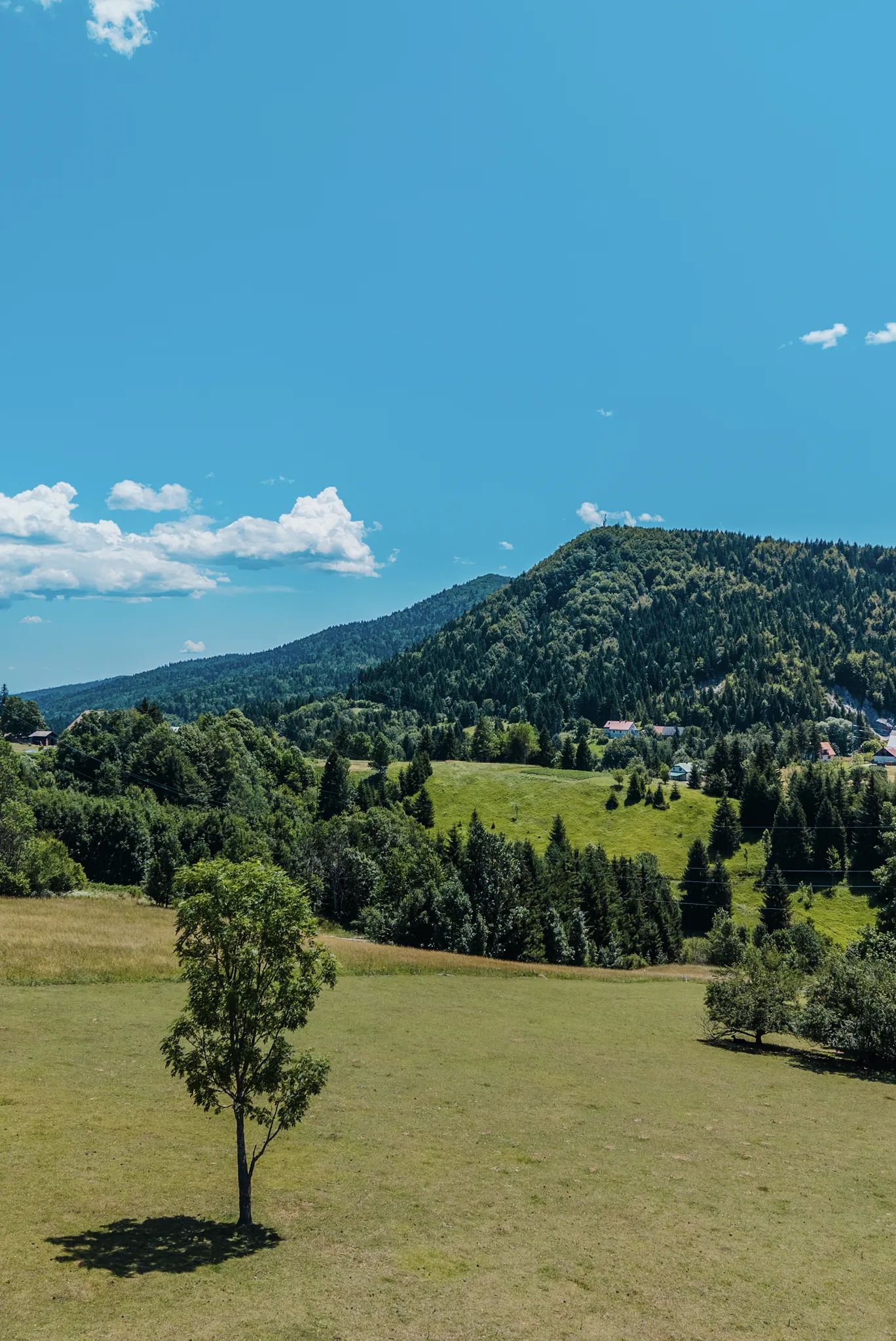 Wide forest-and-mountain vista across Gorski kotar around Ravna Gora — Risnjak ridgelines and treetops in every direction, conveying the all-seasons experience range